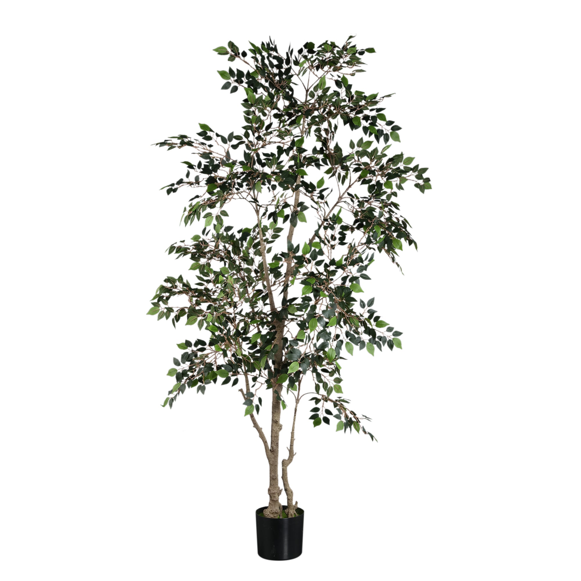 Tree Green ficus microcarpa Vert — Plante artificielle — Plante artificielle design premium | Häus