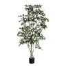 Tree Green ficus microcarpa Vert — Plante artificielle — Plante artificielle design premium | Häus