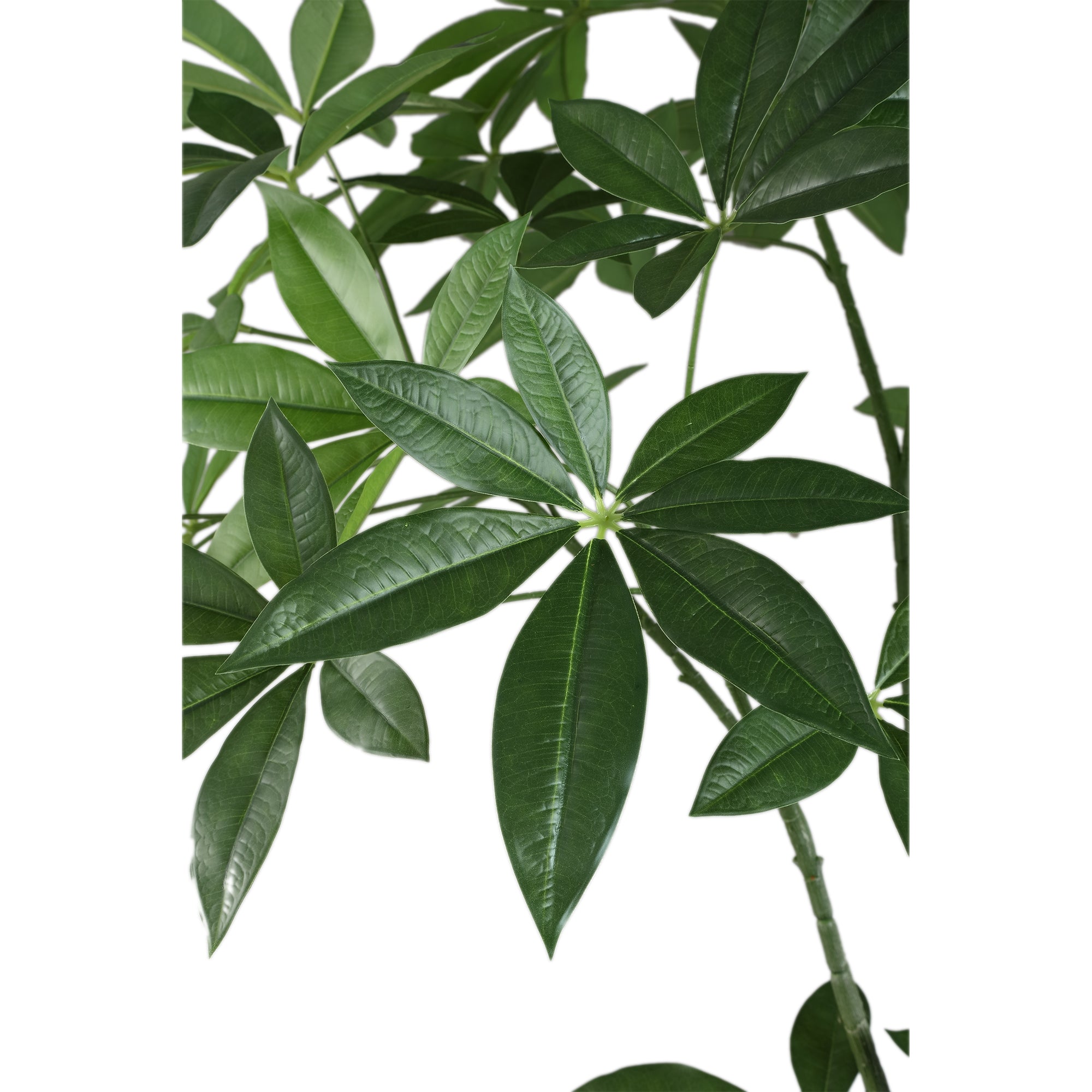 Leaves Plant Green pachira plant in pot Vert — Plante artificielle — vue 2 | Häus