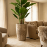 Pot Sasha — Ciment — Photo lifestyle