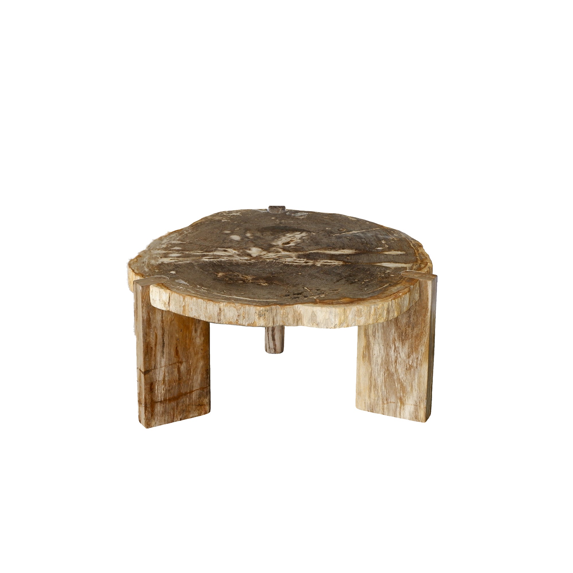 Kayo Natural petrified wood 3 leg coffeetable high - Photo 5