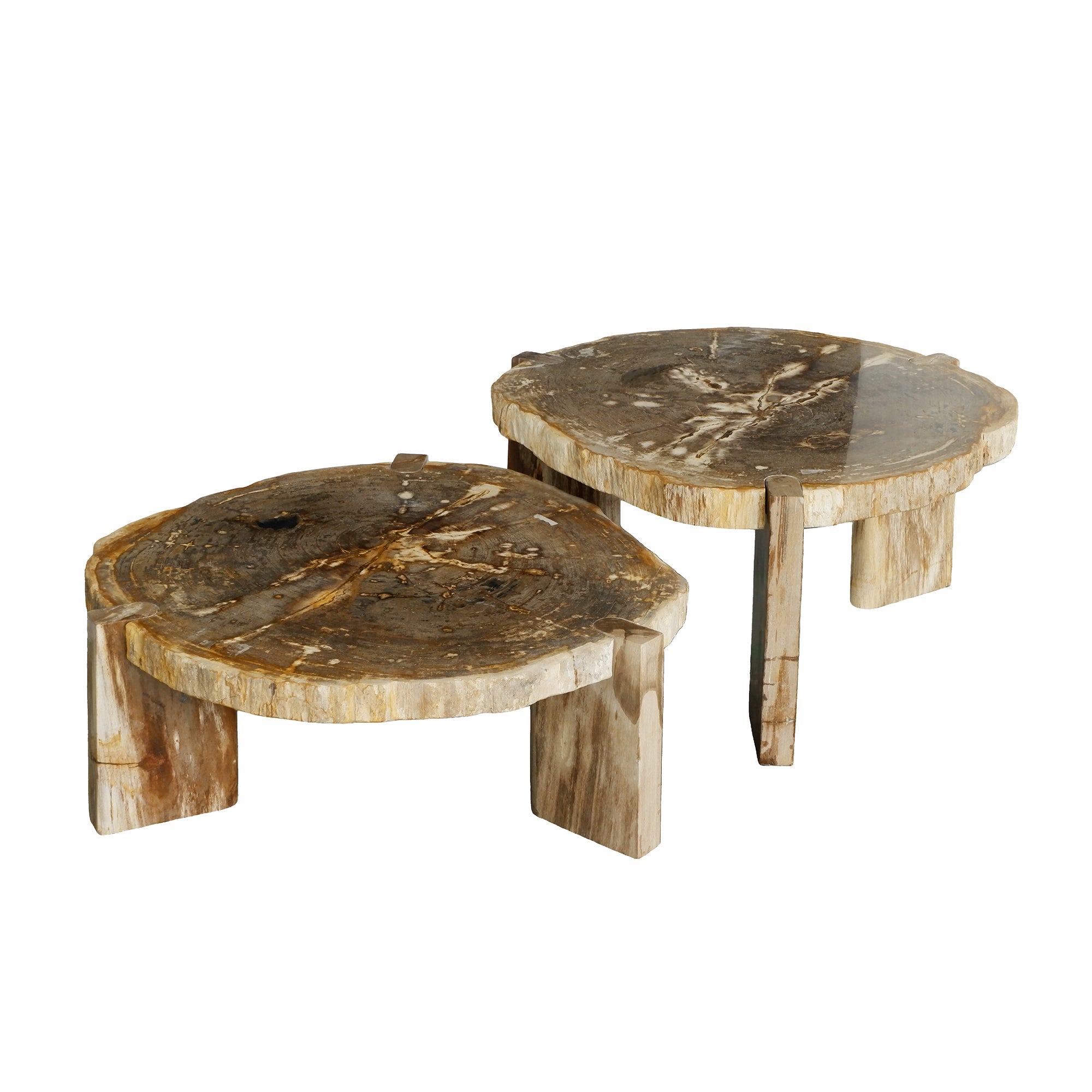 Kayo Natural petrified wood 3 leg coffeetable high - Photo 2