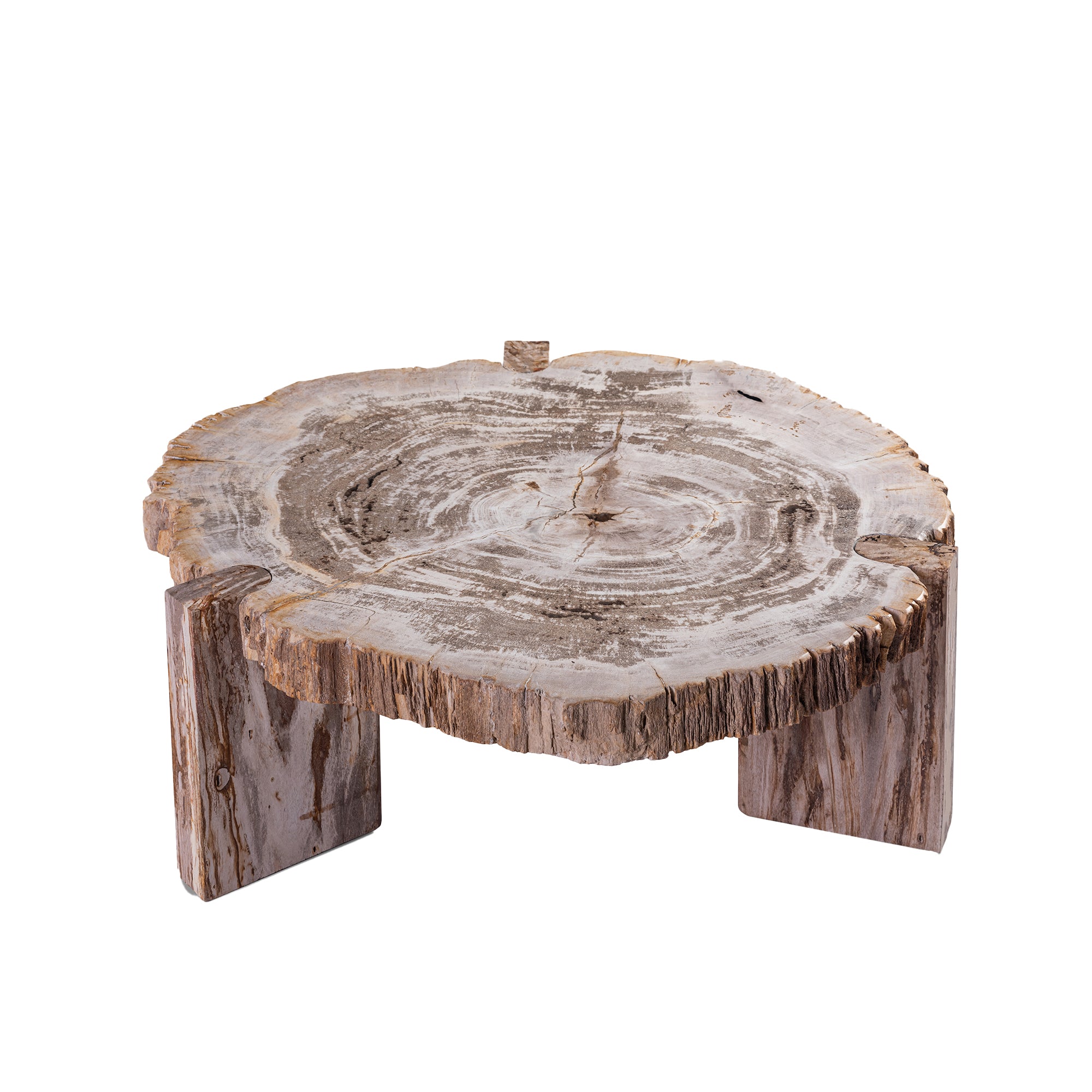 Kayo Natural petrified wood 3 leg coffeetable low - Photo 4