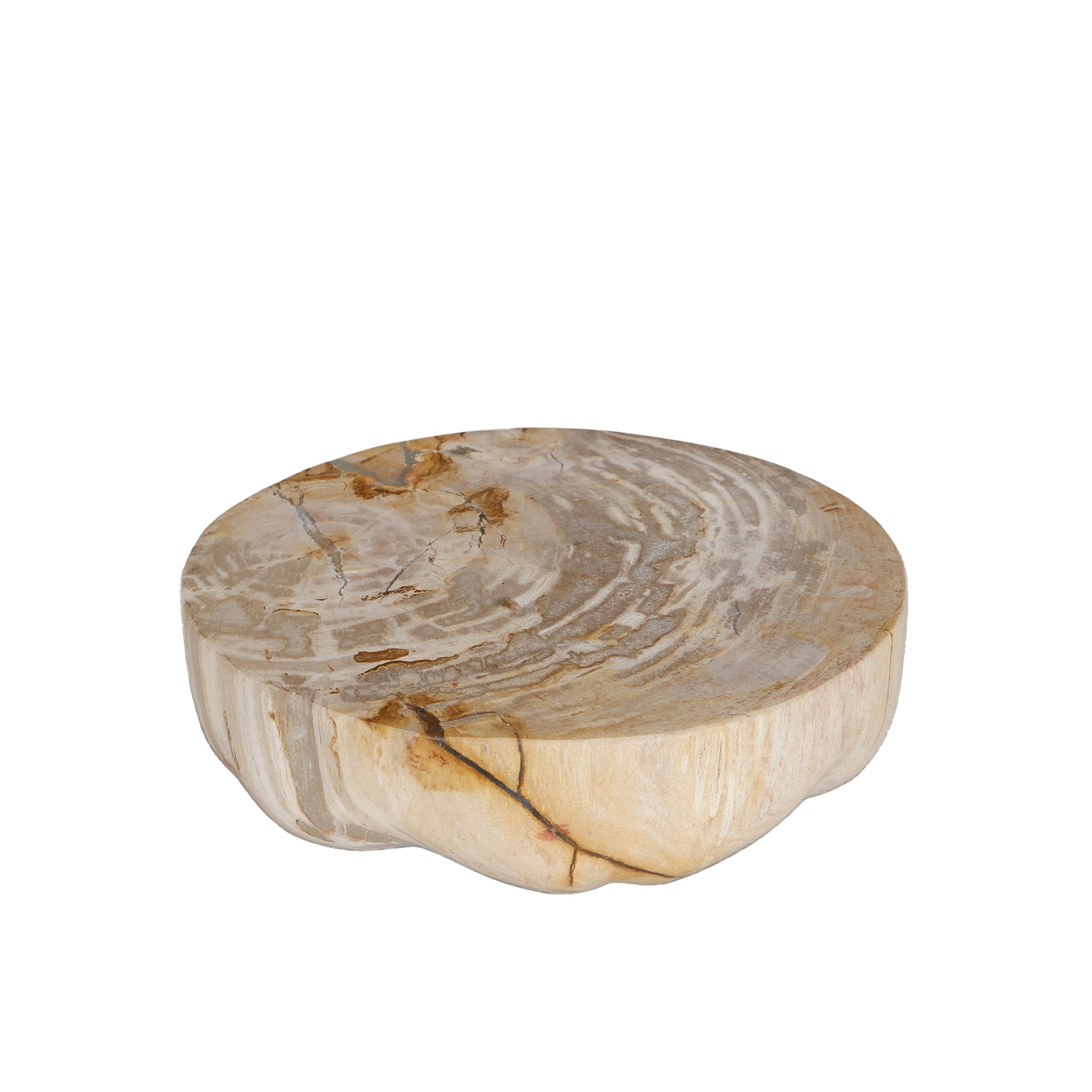 Bethe Natural petrified wood half ball display S