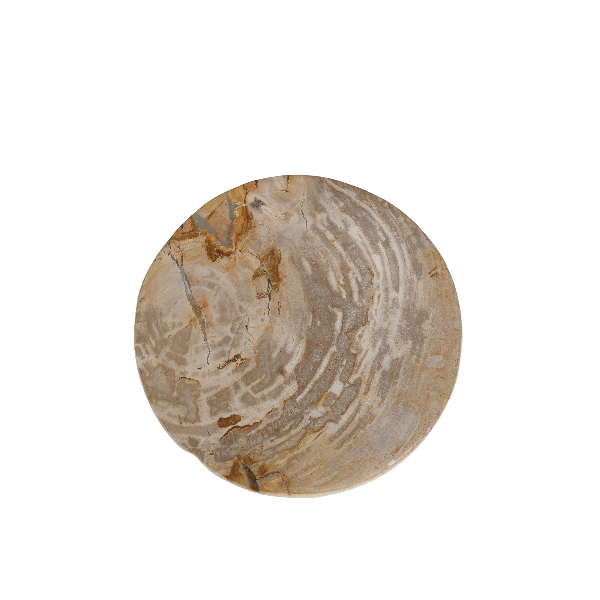 Bethe Natural petrified wood half ball display S