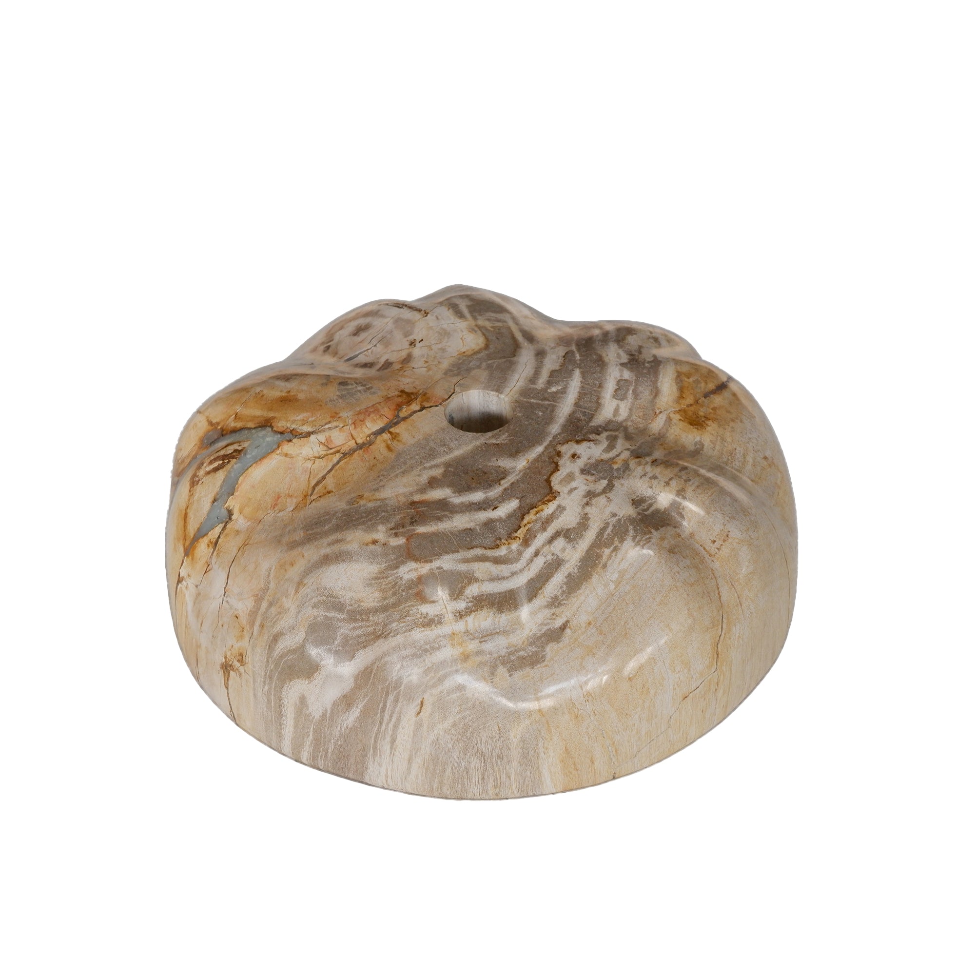Bethe Natural petrified wood half ball display S