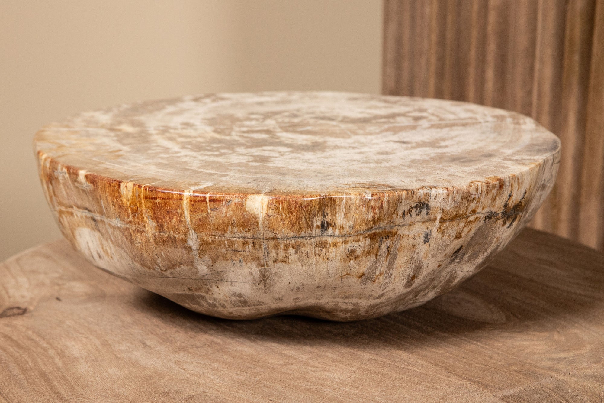 Bethe Natural petrified wood half ball display L
