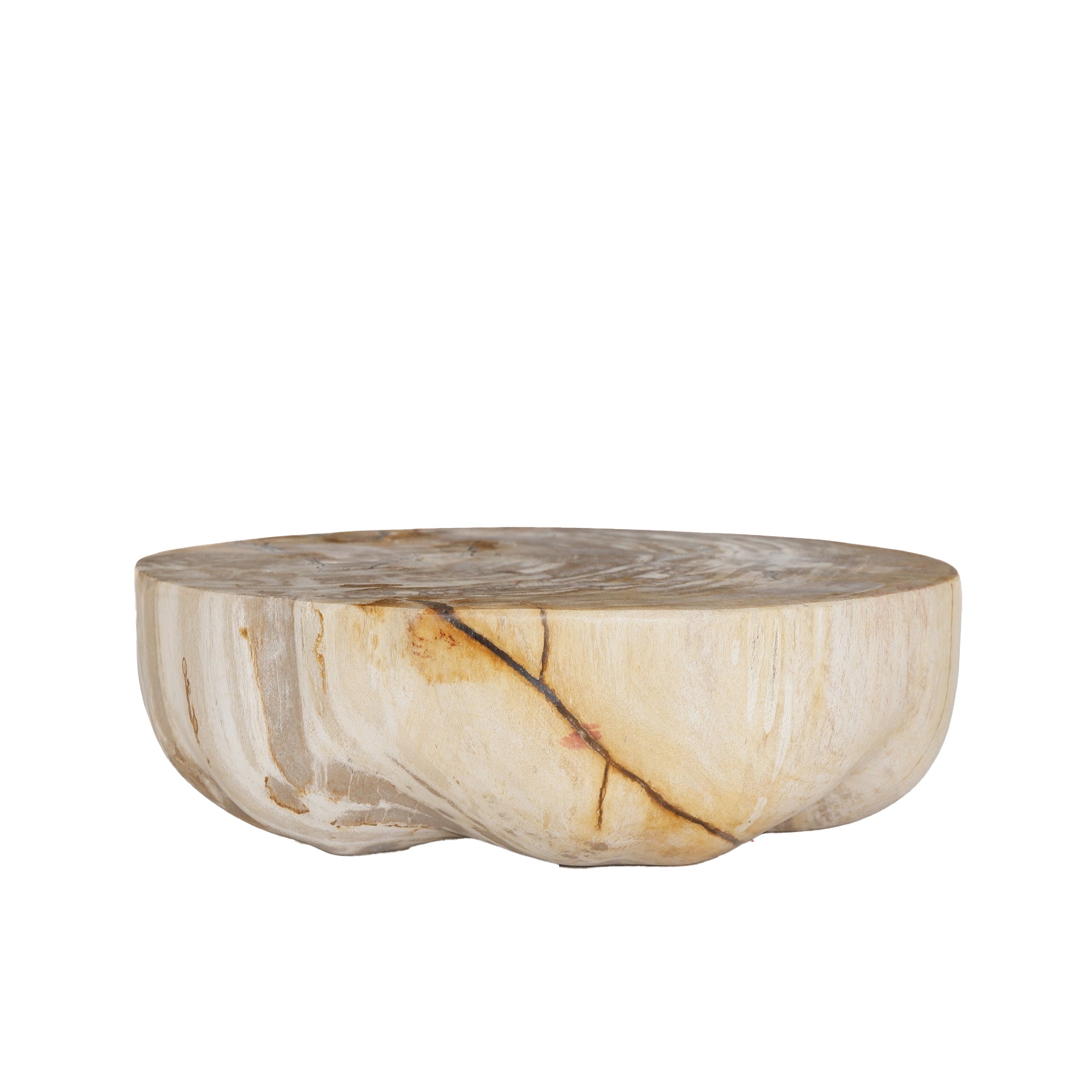 Bethe Natural petrified wood half ball display S