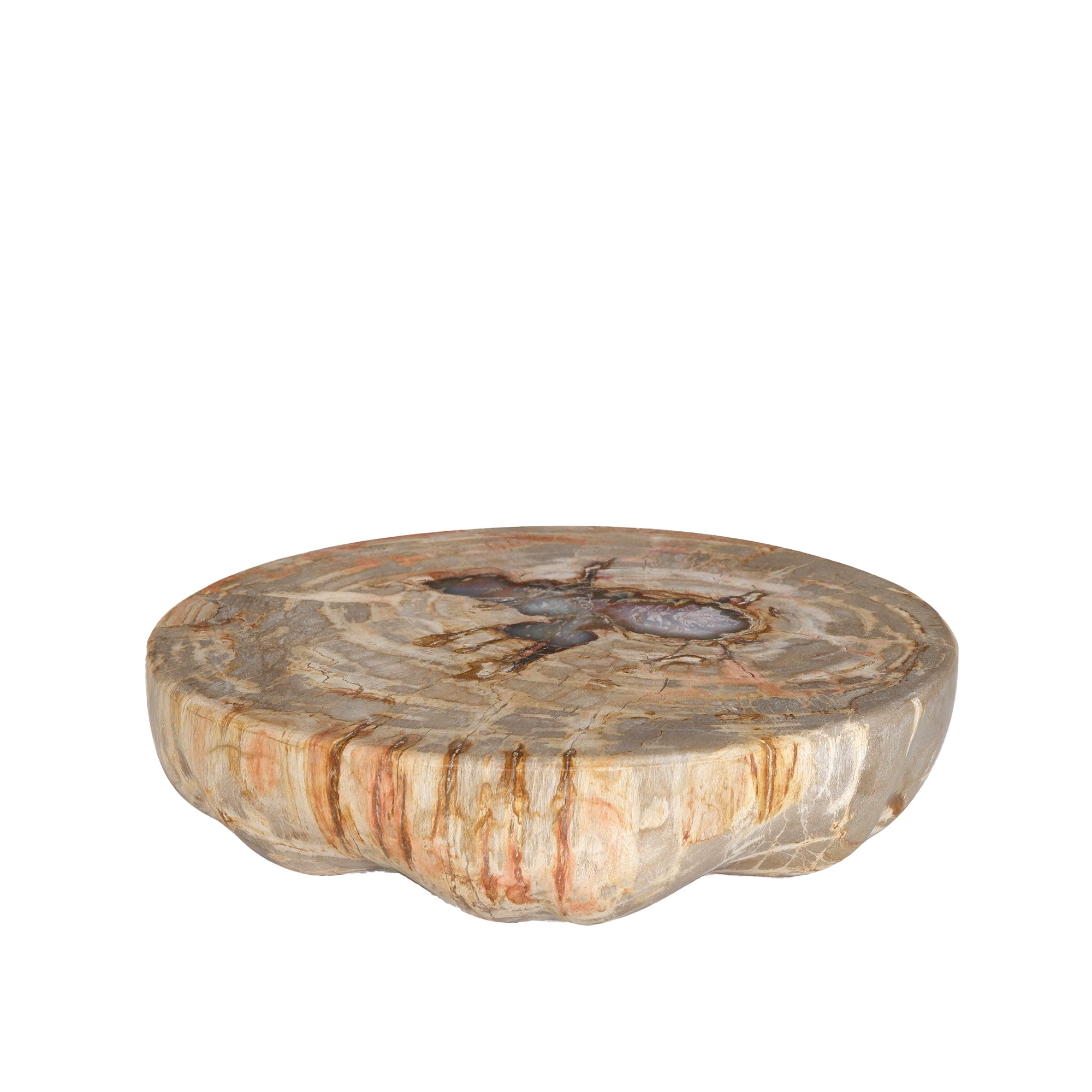 Bethe Natural petrified wood half ball display L