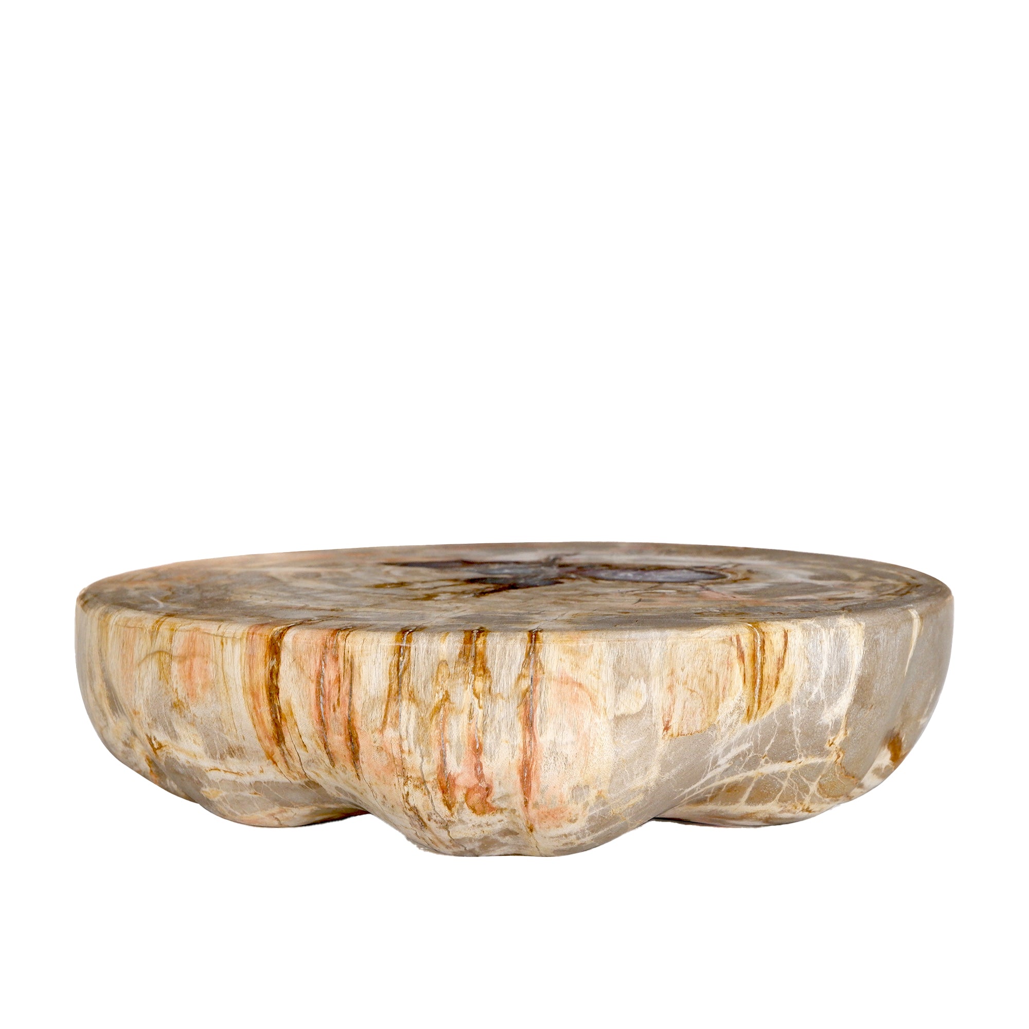 Bethe Natural petrified wood half ball display L
