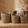 Izely Natural seagrass basket set of 3 round