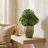 Pot Ryla — Ciment — Photo lifestyle