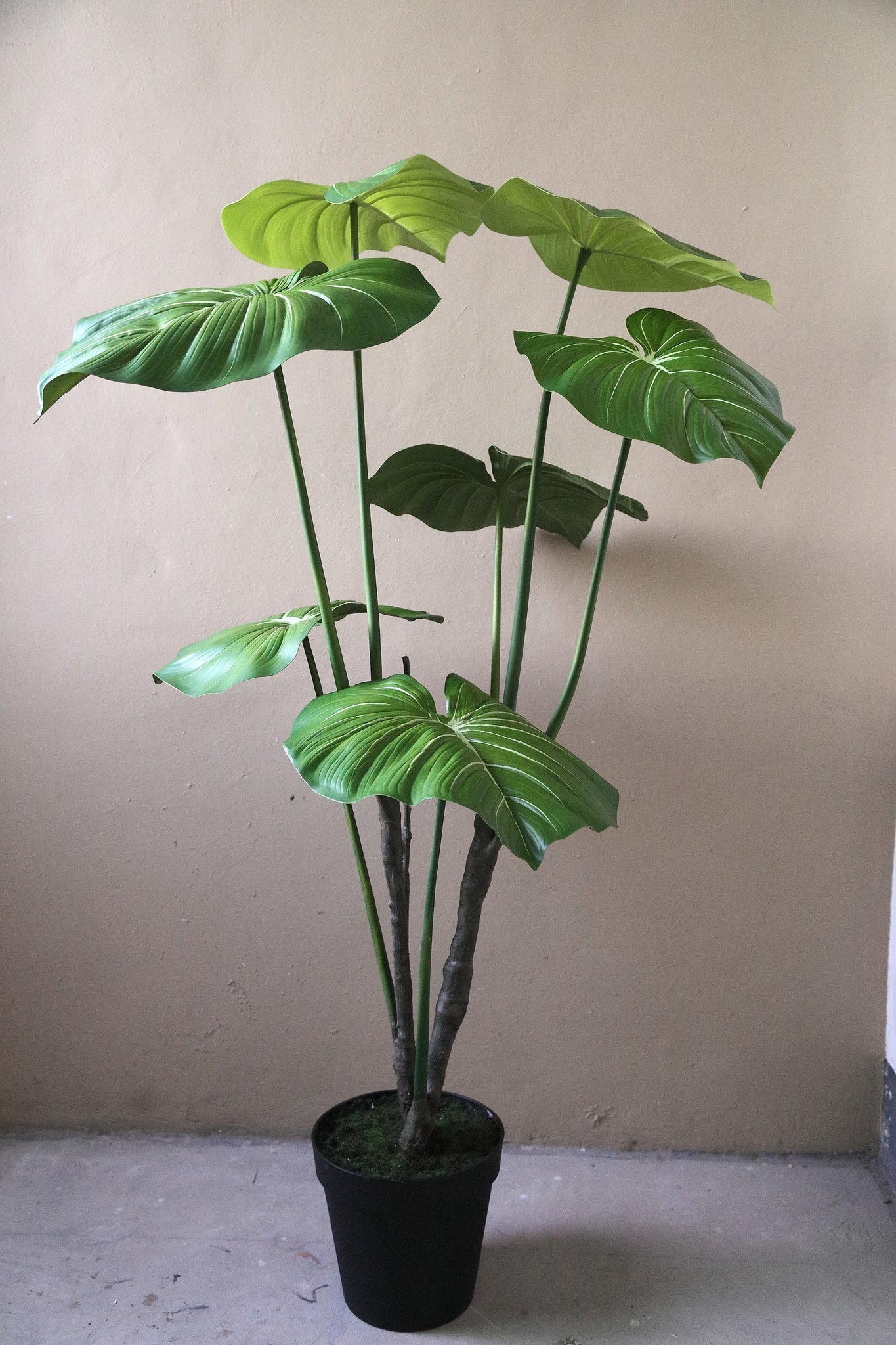Leaves Plant Green philodendron in black pot Vert — Plante artificielle — vue 2 | Häus