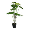Plante artificielle Philodendron — Noir