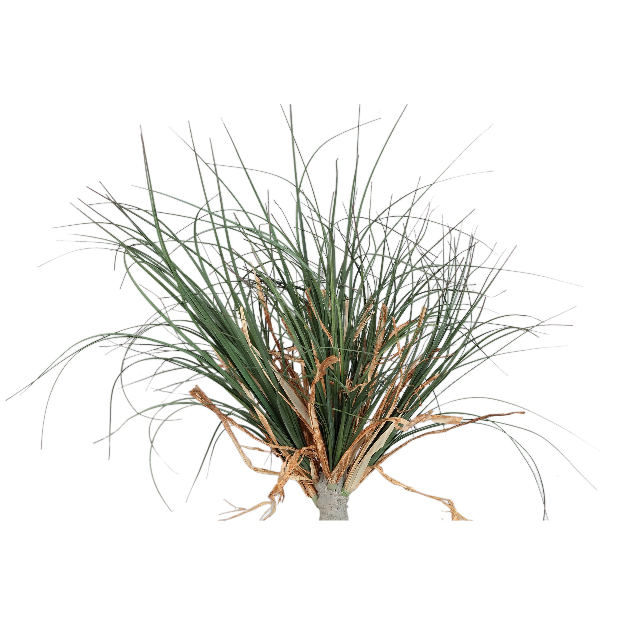 Leaves Plant Green ponytail palm on stem in pot Vert — Plante artificielle — vue 2 | Häus