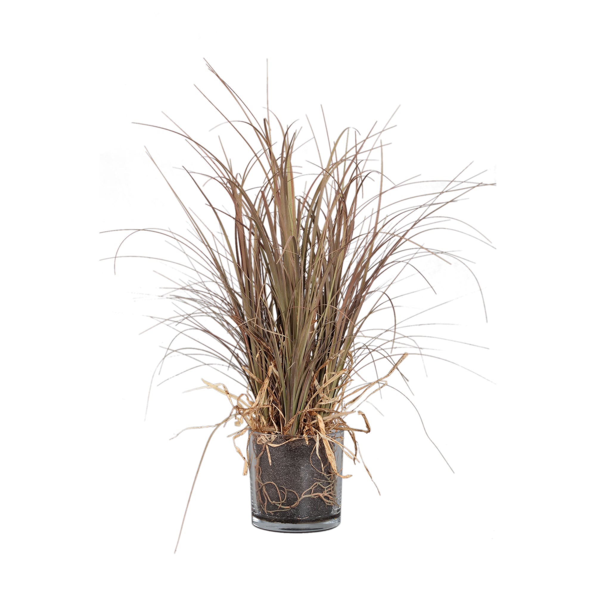 Leaves Plant Beige ponytail palm in glass vase Beige — Feuille artificielle — Feuille artificielle design premium | Häus