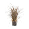 Leaves Plant Beige ponytail palm in glass vase Beige — Feuille artificielle — Feuille artificielle design premium | Häus