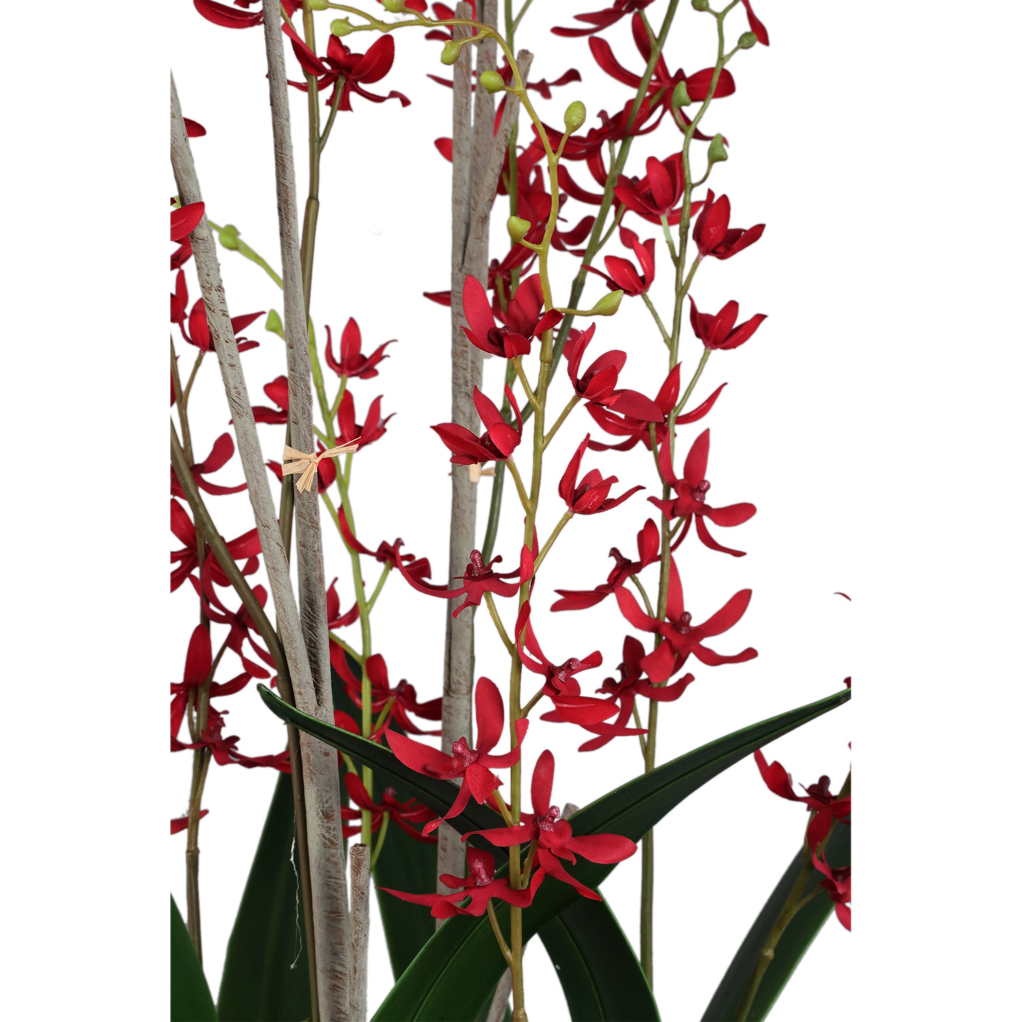 Orchid Flower Pink orchid in glass vase Vert — Plante artificielle — vue 2 | Häus
