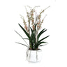 Orchid Flower Green orchid in ceramic pot Vert — Plante artificielle — Plante artificielle design premium | Häus