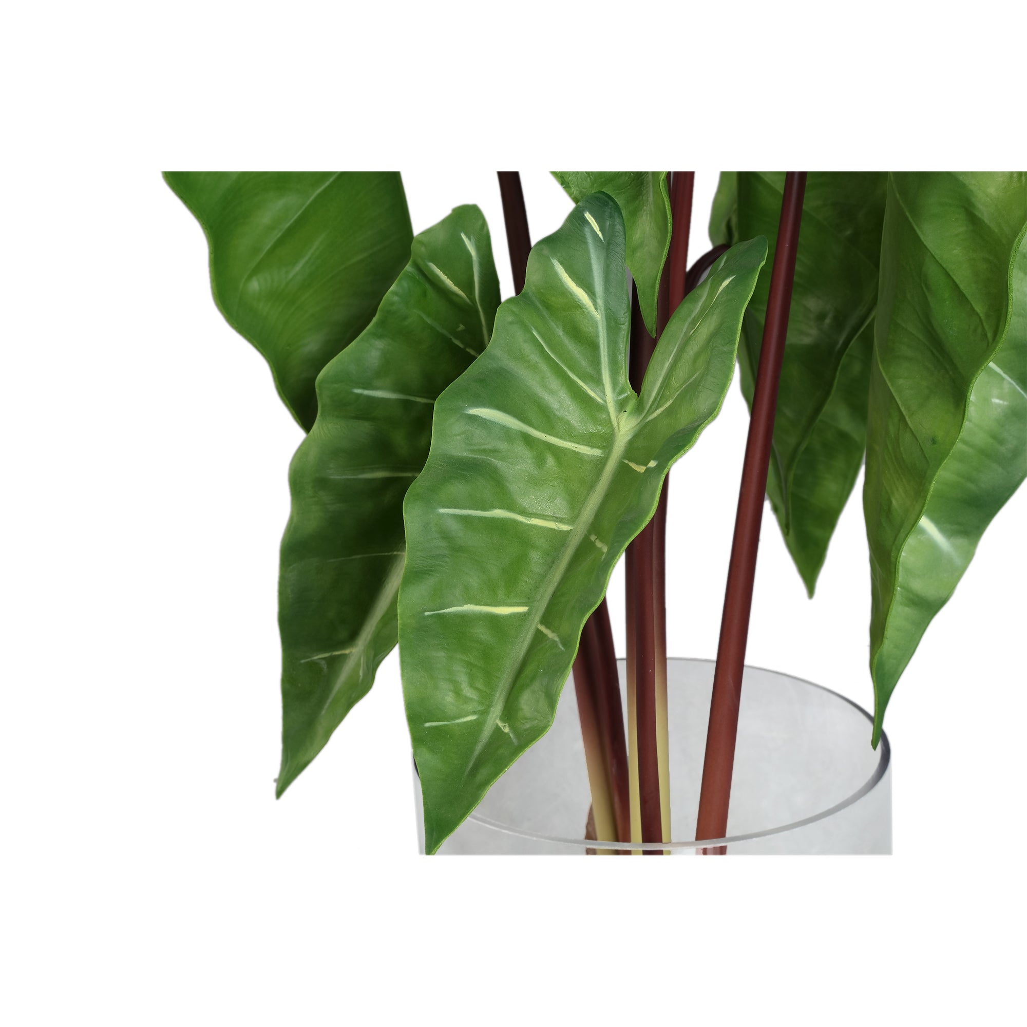 Leaves Plant Green philodendron in glass vase Vert — Feuille artificielle — vue 2 | Häus