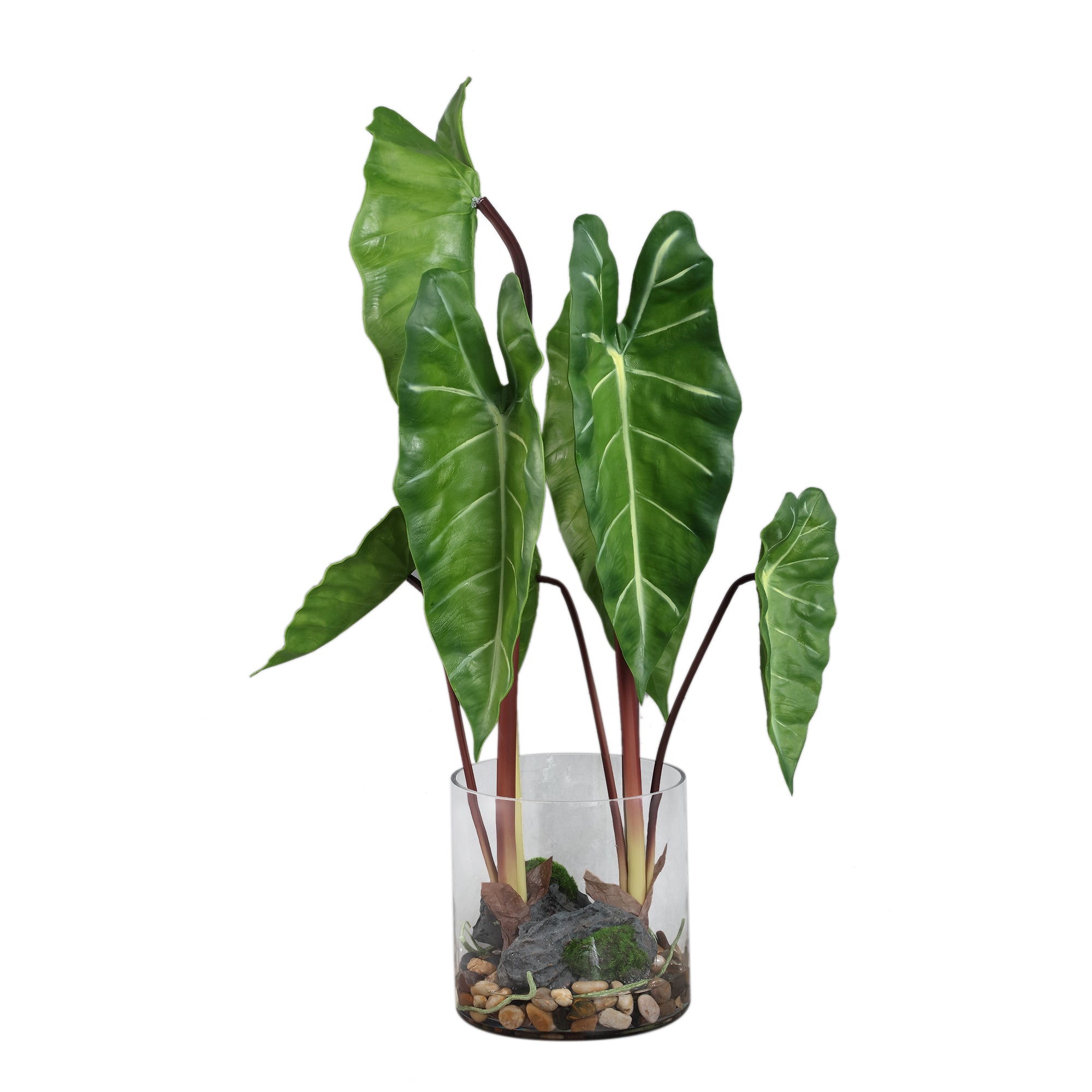 Leaves Plant Green philodendron in glass vase Vert — Feuille artificielle — Feuille artificielle design premium | Häus