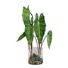 Leaves Plant Green philodendron in glass vase Vert — Feuille artificielle — Feuille artificielle design premium | Häus