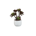 Plante artificielle Succulente — Marron