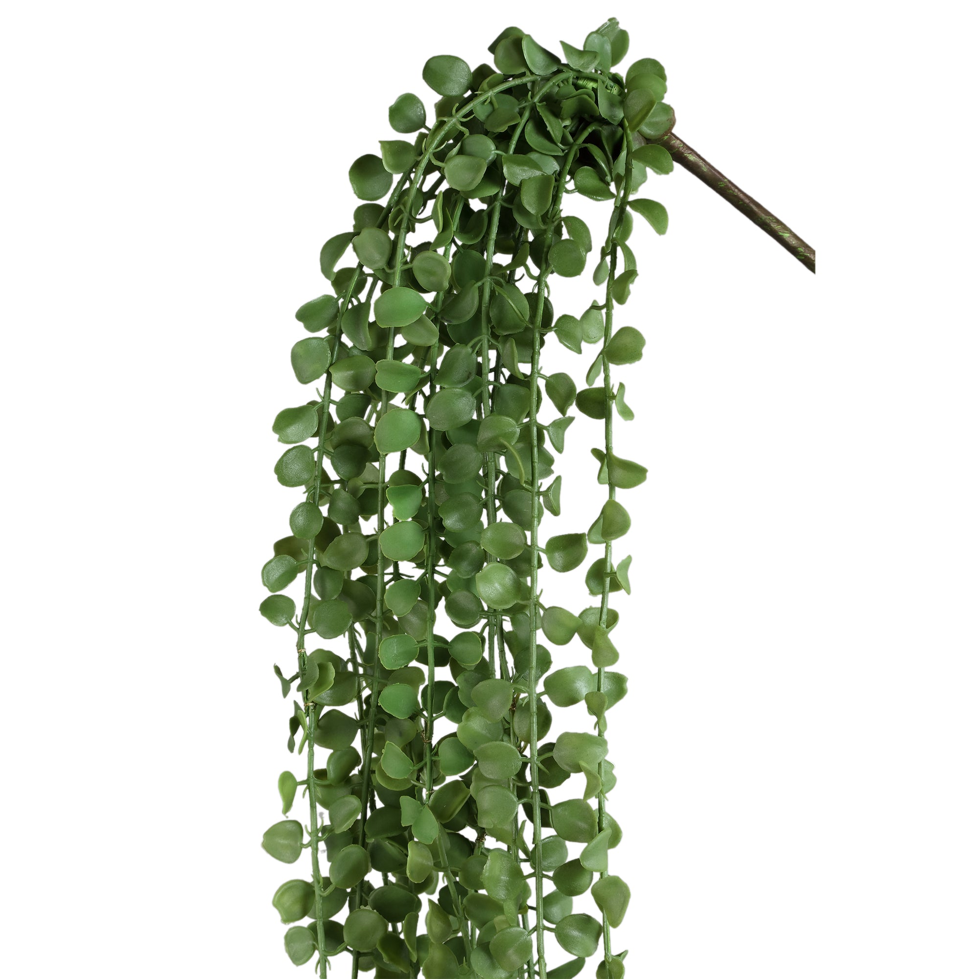 Succulent Plant Green hanging foliage long Vert — Plante artificielle — vue 2 | Häus
