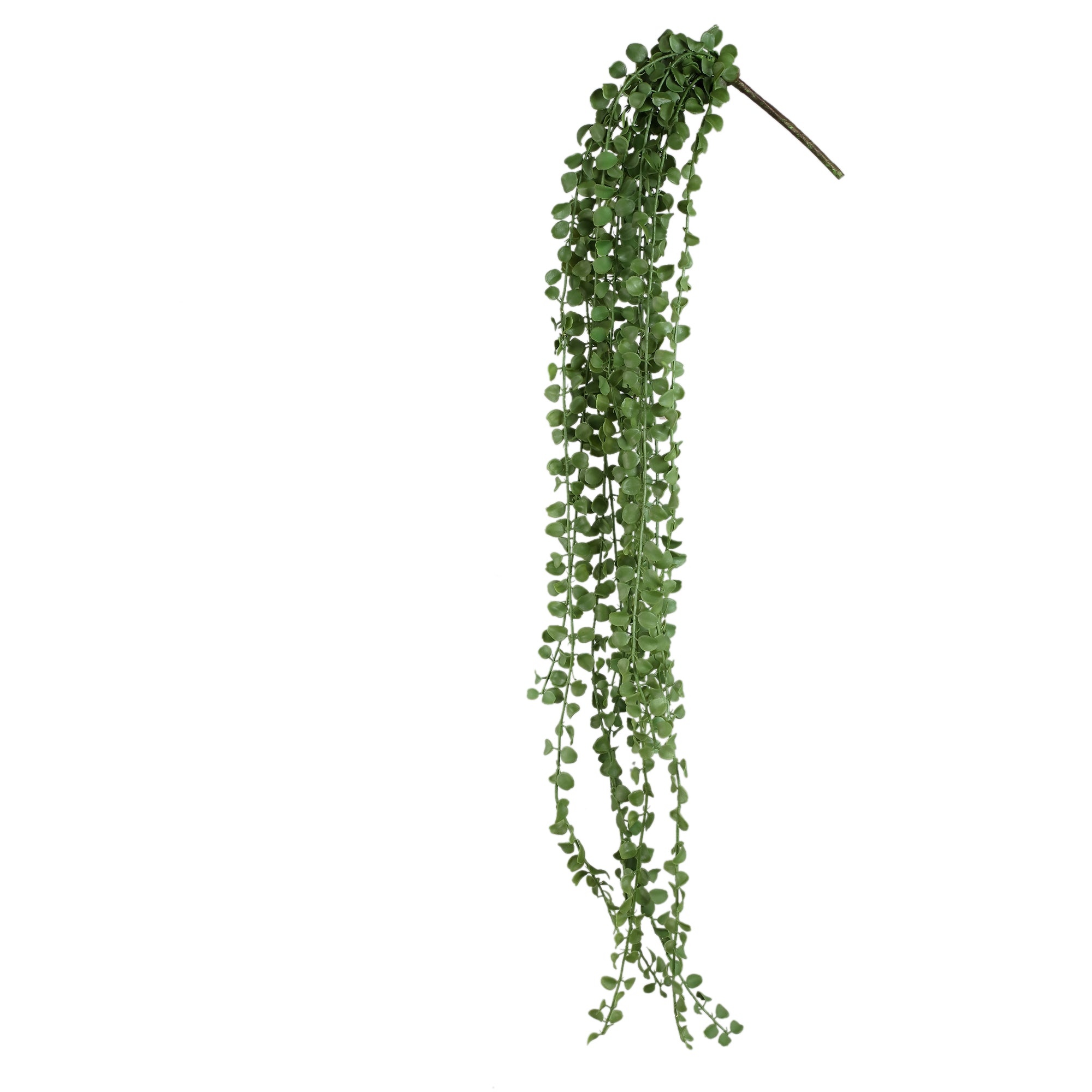 Succulent Plant Green hanging foliage long Vert — Plante artificielle — Plante artificielle design premium | Häus