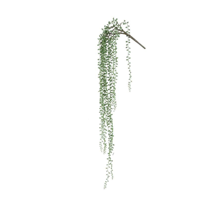 Succulent Plant Green hanging pearls long Vert — Plante artificielle — vue 3 | Häus